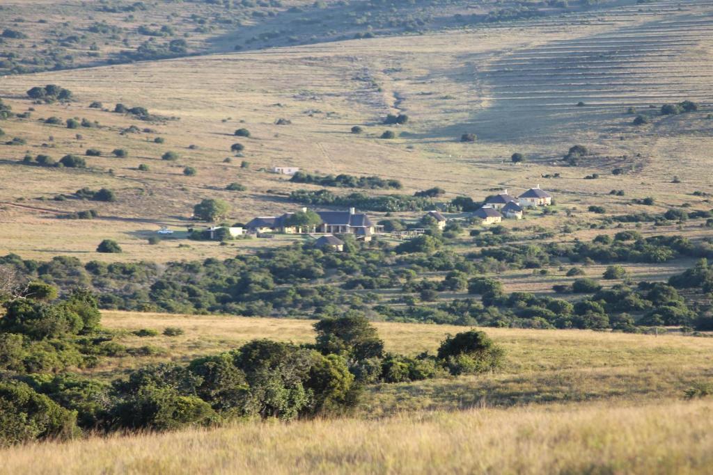 Hlosi Game Lodge - Amakhala Game Reserve Buyskloof Exterior foto